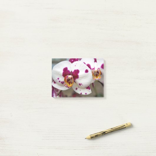 花 ポストイット (デスク上)