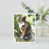 花 ポストカード (スタンド正面)