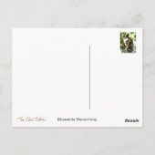 花 ポストカード (裏面)