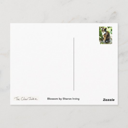 花 ポストカード (裏面)