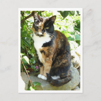 花 ポストカード