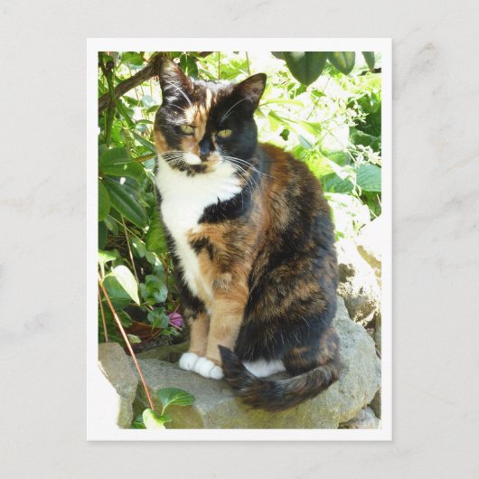 花 ポストカード (正面)