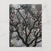 花  ポストカード (正面)