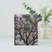 花  ポストカード (スタンド正面)