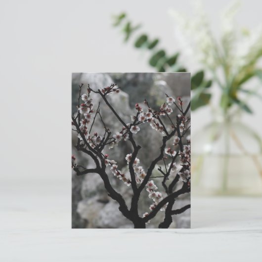 花  ポストカード (スタンド正面)