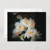 花 ポストカード (正面/裏面)