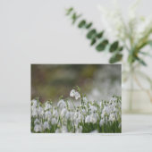 花 ポストカード (スタンド正面)