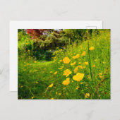 花 ポストカード (正面/裏面)