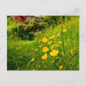 花 ポストカード (正面)