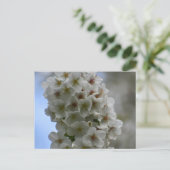 花 ポストカード (スタンド正面)