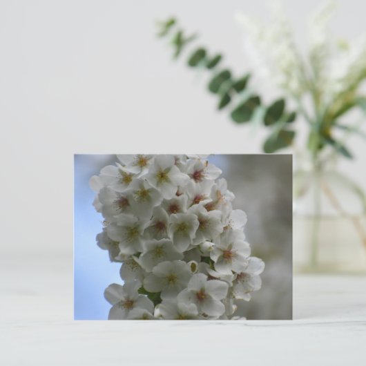 花 ポストカード (スタンド正面)