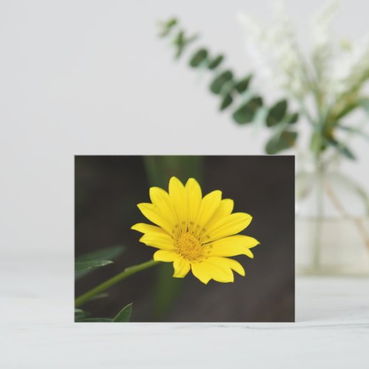 花 ポストカード (スタンド正面)