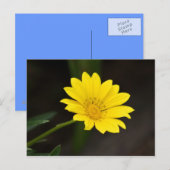 花 ポストカード (正面/裏面)