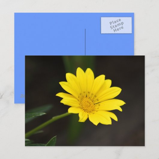 花 ポストカード (正面/裏面)