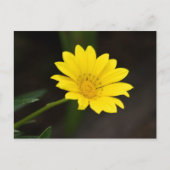 花 ポストカード (正面)