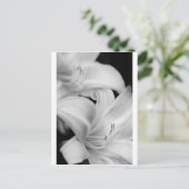 花 ポストカード (スタンド正面)