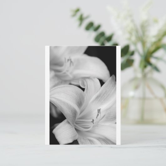 花 ポストカード (スタンド正面)