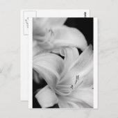 花 ポストカード (正面/裏面)