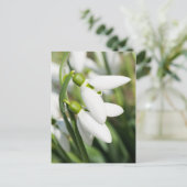 花 ポストカード (スタンド正面)