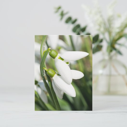 花 ポストカード (スタンド正面)