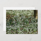 花 ポストカード (正面/裏面)