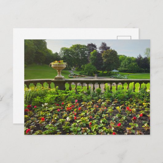 花 ポストカード (正面/裏面)