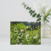 花 ポストカード (スタンド正面)