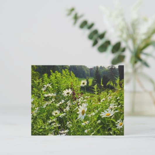 花 ポストカード (スタンド正面)