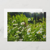 花 ポストカード (正面/裏面)