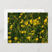 花 ポストカード (正面/裏面)