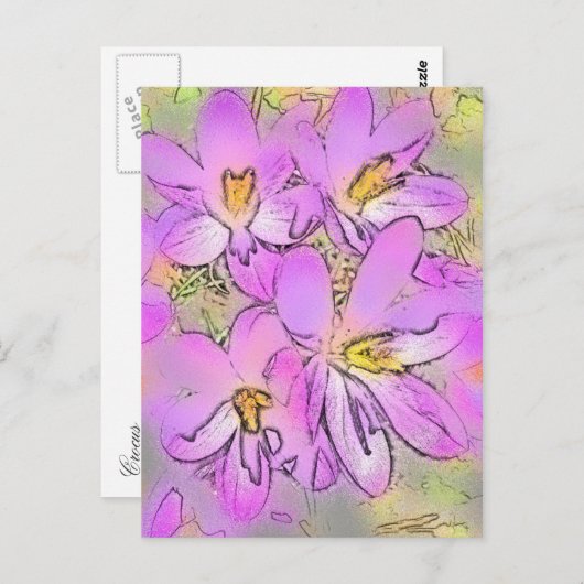 花 ポストカード (正面/裏面)