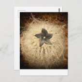 花 ポストカード (正面/裏面)