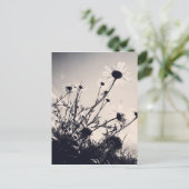 花 ポストカード (スタンド正面)