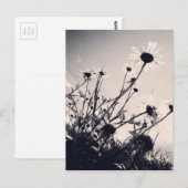 花 ポストカード (正面/裏面)