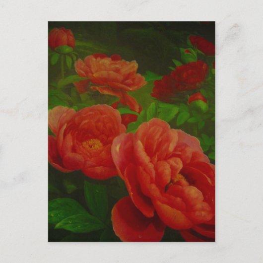 花 ポストカード (正面)