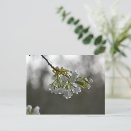 花 ポストカード (スタンド正面)