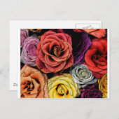 花 ポストカード (正面/裏面)