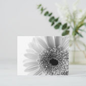 花 ポストカード (スタンド正面)