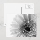 花 ポストカード (正面/裏面)