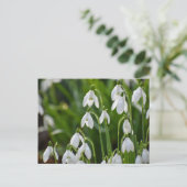 花 ポストカード (スタンド正面)