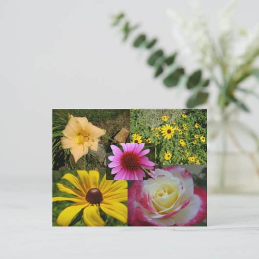 花 ポストカード (スタンド正面)