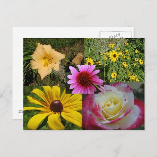 花 ポストカード (正面/裏面)