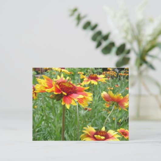 花 ポストカード (スタンド正面)