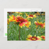 花 ポストカード (正面/裏面)