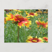 花 ポストカード (正面)