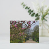 花 ポストカード (スタンド正面)