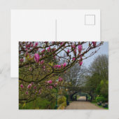 花 ポストカード (正面/裏面)