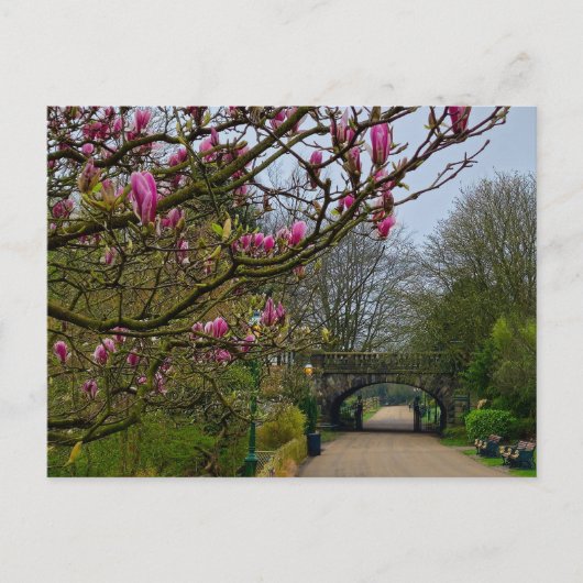 花 ポストカード (正面)