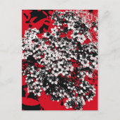 花 ポストカード (正面)