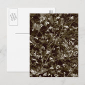 花 ポストカード (正面/裏面)